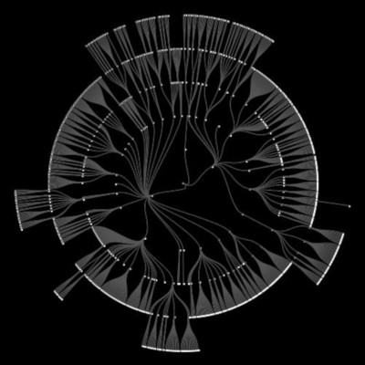 Organograms